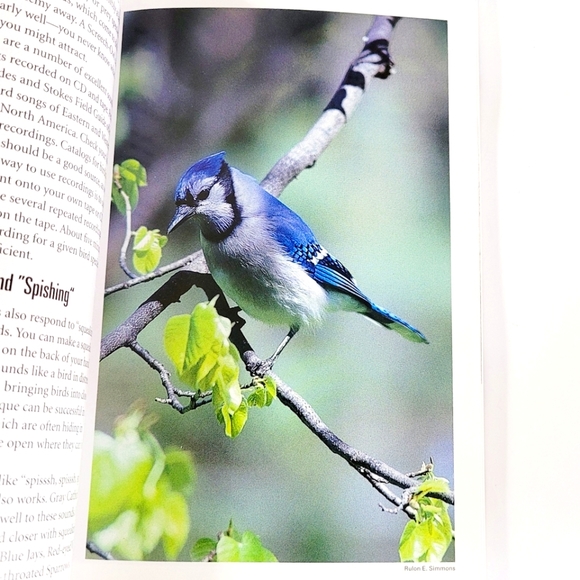 National Geographic Photography Field Guide Birds Rulon E. Simmons - Picture 3 of 6